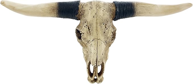 Texas Longhorn Bull Skulls